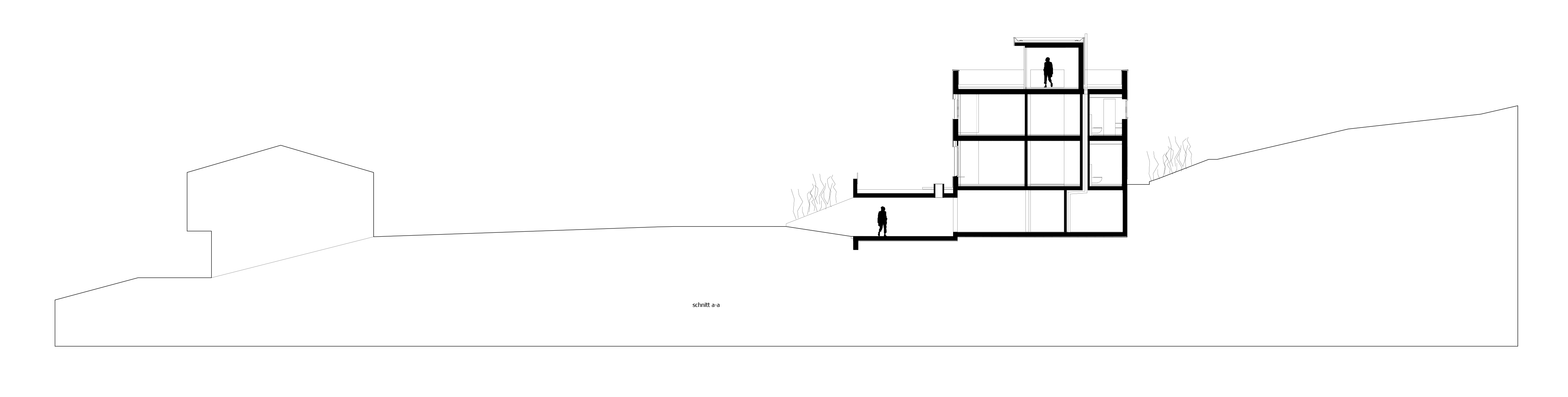 Schnitt-1