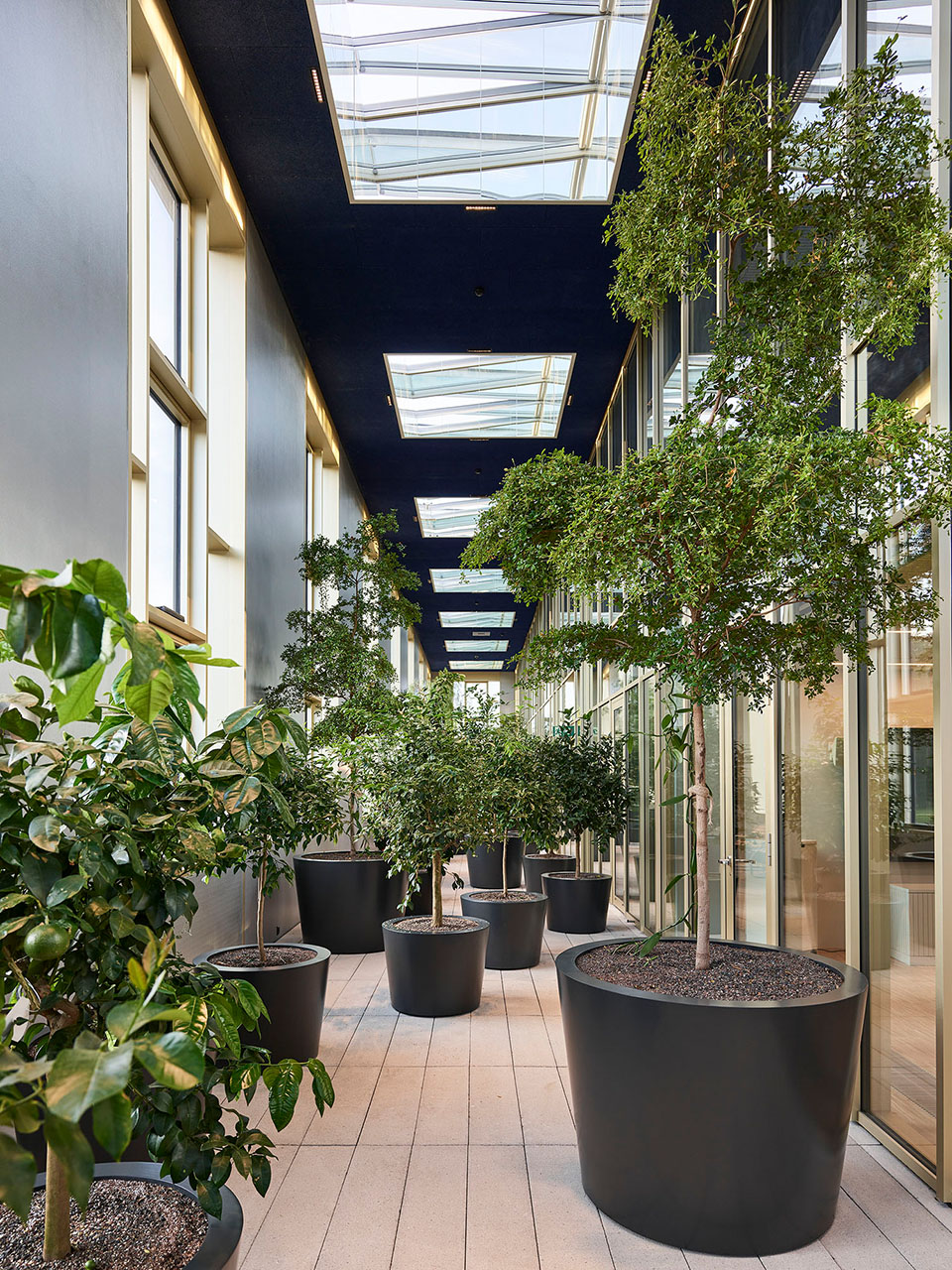 verena-frey-projects-givaudan-image13