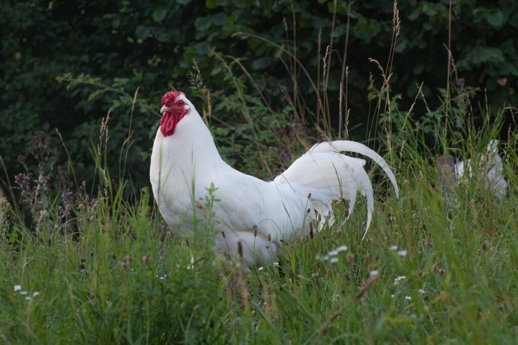 verena-frey-projects-jura-image3-1024x683